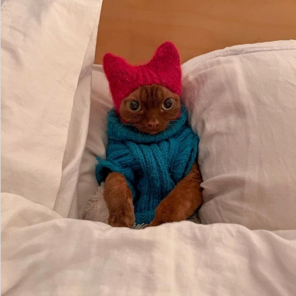 Meet your Posher, MIM